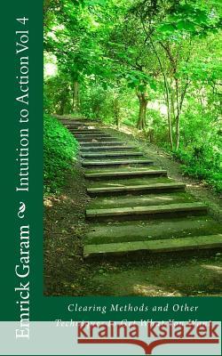 Intuition to Action Vol 4: Clearing Methods to Get What You Want MR Emrick Garam Emrick Garam 9781496024282 Createspace