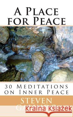 A Place for Peace: 30 Meditations on Spiritual Peace Steven Galindo 9781496029713