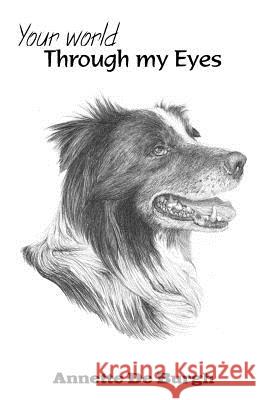 Through my Eyes De Burgh, Annette 9781496052810 Createspace