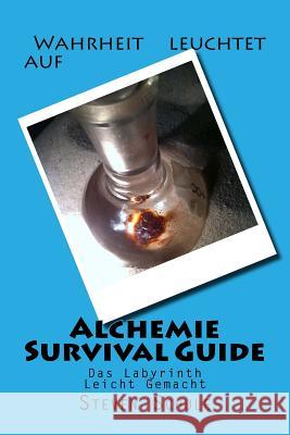 Alchemie Survival Guide: Das Labyrinth Leicht Gemacht Steven Schule 9781496081803 Createspace