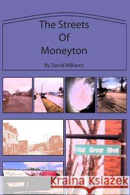 The Streets of Moneyton David Alligator Jackson William 9781496109835 Createspace