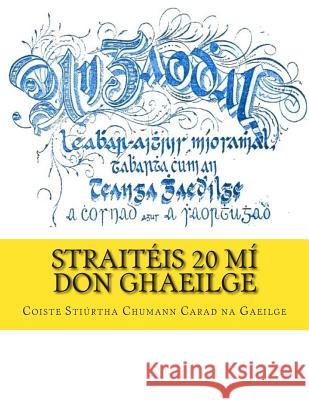 Straitéis 20 Mí don Ghaeilge Coiste Stiurtha Chumann Carad Na Gaeilg 9781496111166 Createspace