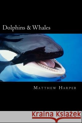 Dolphins & Whales: A Fascinating Book Containing Dolphin & Whale Facts, Trivia, Images & Memory Recall Quiz: Suitable for Adults & Childr Matthew Harper 9781496140173