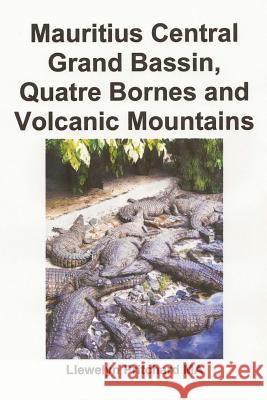 Mauritius Central Grand Bassin, Quatre Bornes and Volcanic Mountains: A Souvenir Collection of Colour Photographs with Captions Llewelyn Pritchard 9781496140746 Createspace