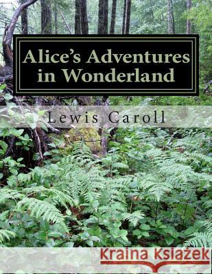 Alice's Adventures in Wonderland Lewis Caroll 9781496197986 Createspace
