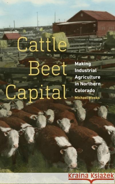 Cattle Beet Capital: Making Industrial Agriculture in Northern Colorado Michael Weeks 9781496208415
