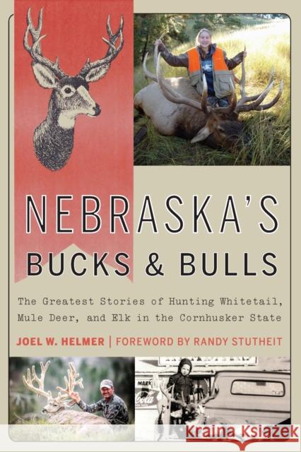 Nebraska's Bucks and Bulls: The Greatest Stories of Hunting Whitetail, Mule Deer, and Elk in the Cornhusker State - audiobook Helmer, Joel W. 9781496212818 University of Nebraska Press