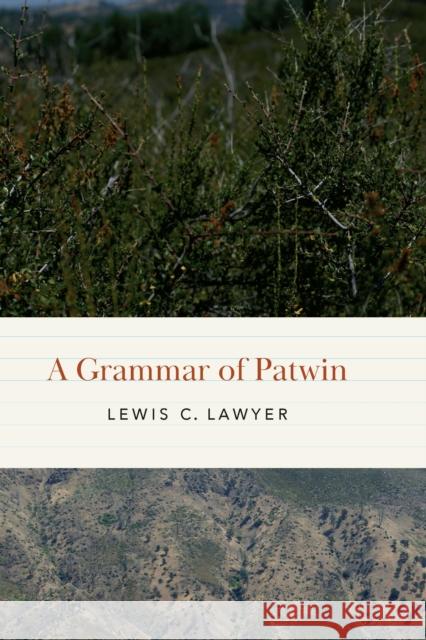 A Grammar of Patwin Lewis Lawyer 9781496221193