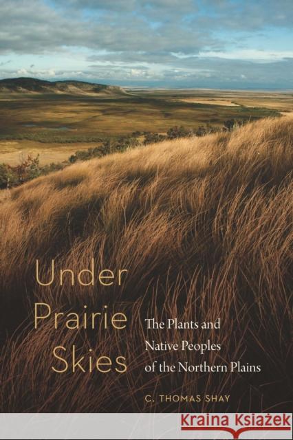 Under Prairie Skies: The Plants and Native Peoples of the Northern Plains C. Thomas Shay 9781496223388 Bison Books