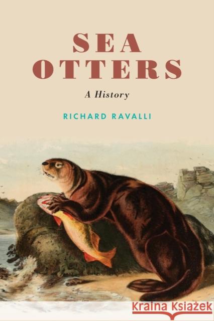 Sea Otters: A History Richard Ravalli 9781496225009 University of Nebraska Press