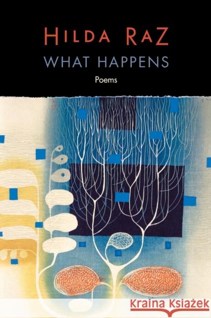 What Happens: Poems Hilda Raz 9781496228185 University of Nebraska Press