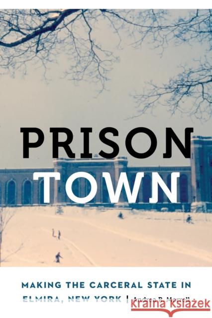 Prison Town: Making the Carceral State in Elmira, New York Andrea R. Morrell 9781496243119 University of Nebraska Press