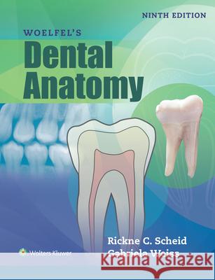 Woelfels Dental Anatomy Rickne C. Scheid Gabriela Weiss 9781496320223 LWW