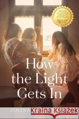 How the Light Gets in Jolina Petersheim 9781496402233 Tyndale House Publishers