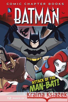 Attack of the Man-Bat! Jake Black Luciano Vecchio 9781496505156 Stone Arch Books