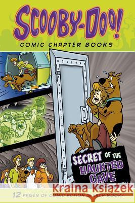 Secret of the Haunted Cave Matthew K. Manning Scott Neely 9781496535856