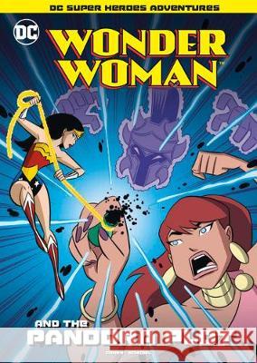 Wonder Woman and the Pandora Plot Ivan Cohen Gregg Schigiel 9781496592026 Stone Arch Books