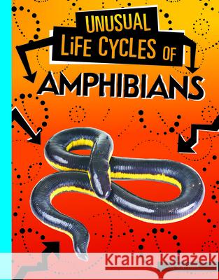 Unusual Life Cycles of Amphibians Jaclyn Jaycox 9781496697004 Capstone Press