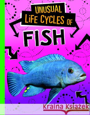Unusual Life Cycles of Fish Jaclyn Jaycox 9781496697028 Capstone Press