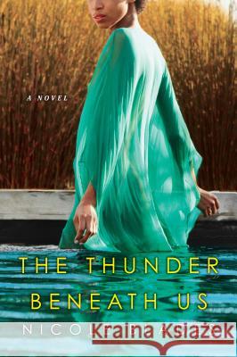 The Thunder Beneath Us Nicole Blades 9781496704597 Dafina Books