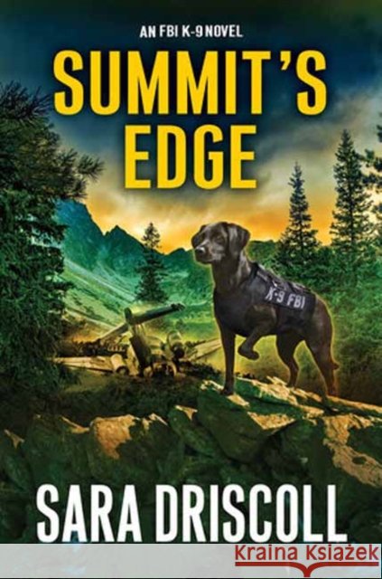 Summit’s Edge Sara Driscoll 9781496744005
