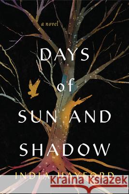 Days of Sun and Shadow India Hayford 9781496753144 John Scognamiglio Book
