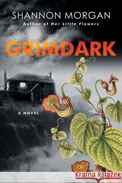 Grimdark Shannon Morgan 9781496753724 Kensington Publishing Corporation