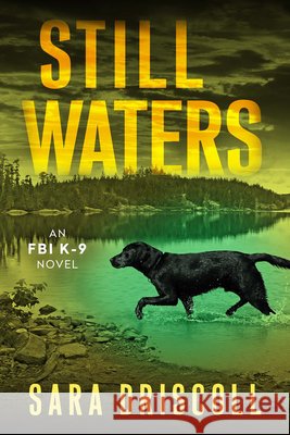 Still Waters: A Riveting Novel of Suspense Sara Driscoll 9781496754387