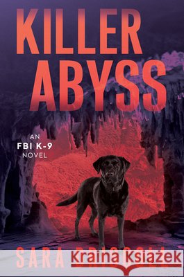 Killer Abyss Sara Driscoll 9781496756336 Kensington Publishing Corporation