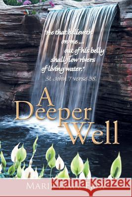 A Deeper Well Marie Hall-Fray 9781496926111