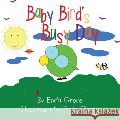 Baby Bird's Busy Day Enda Groce 9781496950734