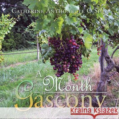 A Month in Gascony Catherine Anthonette O'Shea 9781496986610 Authorhouse