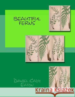Beautiful Ferns Daniel Cady Eaton Charles Edward Faxon J. H. Emerton 9781497315228 