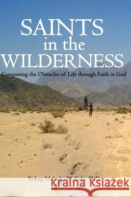 Saints in the Wilderness: Conquering the Obstacles of Life Malcolm W. Cob 9781497354333 Createspace