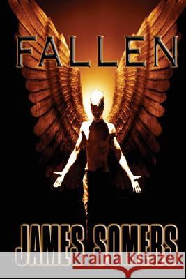 Fallen James Somers 9781497444836 Createspace