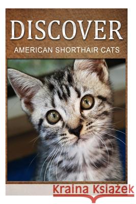 American Shorthair Cats - Discover: Early reader's wildlife photography book Press, Discover 9781497507128 Createspace