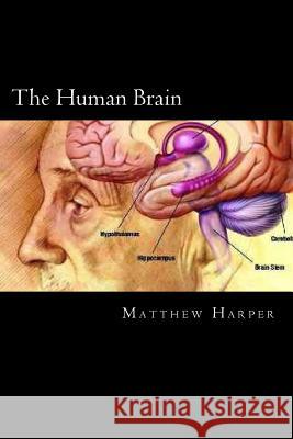 The Human Brain: A Fascinating Book Containing Human Brain Facts, Trivia, Images & Memory Recall Quiz: Suitable for Adults & Children Matthew Harper 9781497511293 Createspace