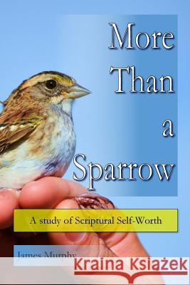 More than a Sparrow: A study of Scriptural self worth Murphy, James 9781497543287 Createspace