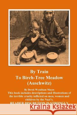 Auschwitz - By Train To Birch Tree Meadow Mayes, Derek Wyndham 9781497570634 Createspace