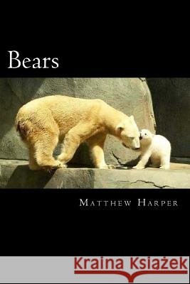 Bears: A Fascinating Book Containing Bear Facts, Trivia, Images & Memory Recall Quiz: Suitable for Adults & Children Matthew Harper 9781497577961