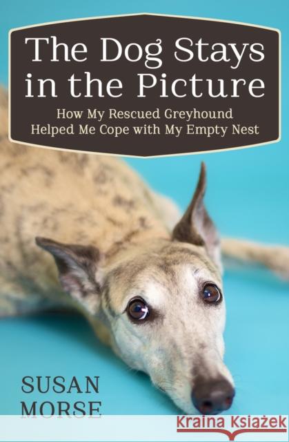 The Dog Stays in the Picture: How My Rescued Greyhound Helped Me Cope with My Empty Nest Susan Morse 9781497643932 Open Road Media