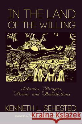 In the Land of the Willing Kenneth L. Sehested Walter Brueggemann 9781498200363