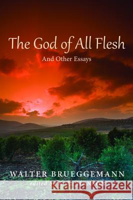 The God of All Flesh Walter Brueggemann K. C. Hanson 9781498206440 Cascade Books