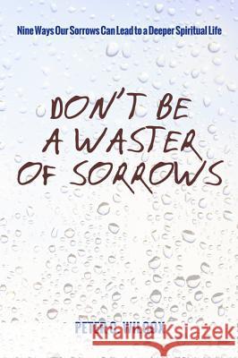 Don't Be a Waster of Sorrows Peter C. Wilcox 9781498207331 Wipf & Stock Publishers