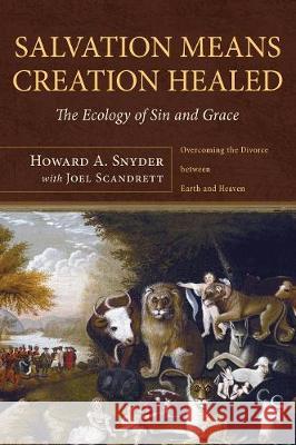 Salvation Means Creation Healed Howard A Snyder, Joel Scandrett 9781498213165