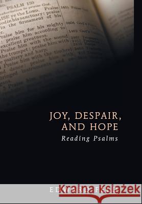 Joy, Despair, and Hope Rabbi Edward Feld 9781498215329 Cascade Books