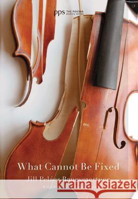 What Cannot Be Fixed Jill Peláez Baumgaertner, Martin E Marty (University of Chicago Divinity School) 9781498217088 Cascade Books