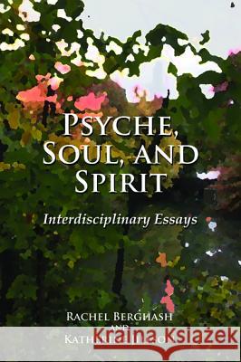Psyche, Soul, and Spirit Rachel Berghash Katherine Jillson John L. Kuehn 9781498220309 Resource Publications (CA)