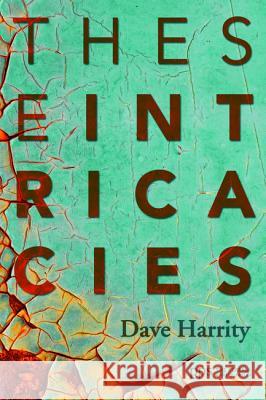 These Intricacies Dave Harrity 9781498236935 Cascade Books