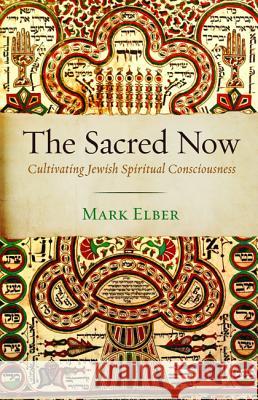 The Sacred Now Mark Elber 9781498242394